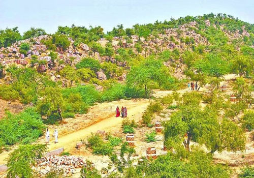 brij